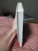 女ひとり氷河を滑る