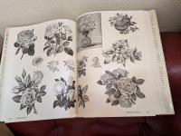 the plant kingdom compendium
