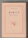竜を撫でた男 ＜新潮文庫＞
