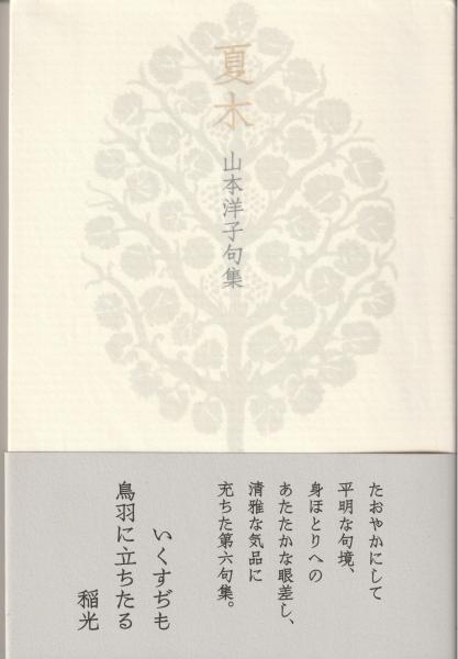 吾郷清彦 かきやわしウエツフミ 上古史現代訳 第2分冊 ※強い