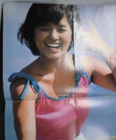 ポスター　　明星　昭和５５年３月の附録