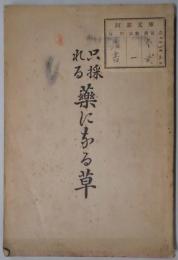 只採れる　薬になる草