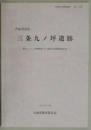 芦屋市所在　三条九ノ坪遺跡（兵庫県文化財調査報告第１６８冊）