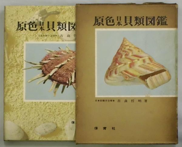原色日本陸産貝類図鑑 保育社の原色図鑑 61(東正雄 著) / 雨と夢