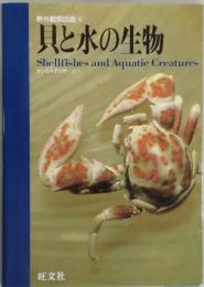 貝と水の生物　野外観察図鑑６