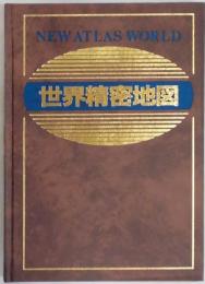 世界精密地図