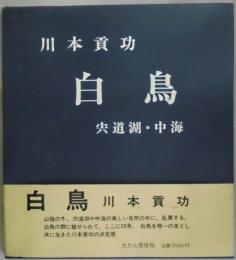 白鳥　穴道湖・中海