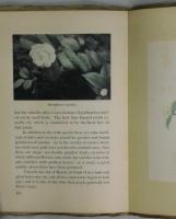 FLORAL　CALENDAR　OF　JAPAN　日本の花暦