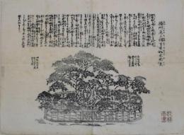播州尾上相生古松之由来