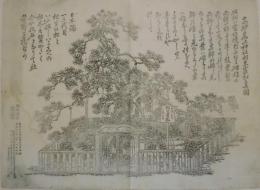 高砂尾上神社相生霊松真図