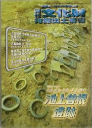月刊　文化財発掘出土情報　通巻１６６号　巻頭グラビア－池上曽根遺跡