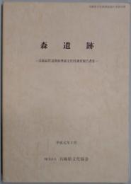 森遺跡　兵庫県文化財調査報告書第５５冊