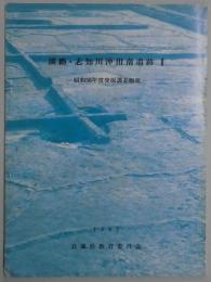 淡路・志知川沖田南遺跡　２　昭和５６年度発掘調査概報