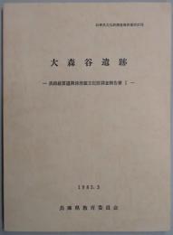 大森谷遺跡　淡路縦貫道関係埋蔵文化財調査報告書１