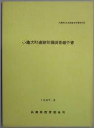 小路大町遺跡発掘調査報告書　兵庫県文化財調査報告書第４５冊