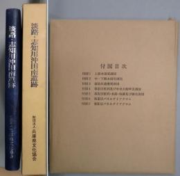 淡路・志知川沖田南遺跡（兵庫県文化財調査報告書４０）