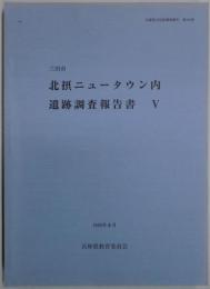 三田市　北摂ニュータウン内遺跡調査報告書　Ⅴ：西山遺跡群