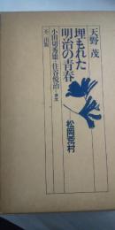 埋もれた明治の青春－松岡荒村（増補版）