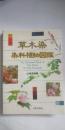草木染染料植物図鑑