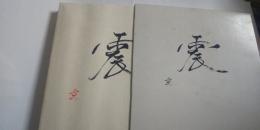 震－阪神・淡路大震災記録集