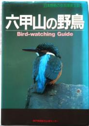六甲山の野鳥