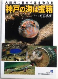 神戸の海は宝箱【大阪湾に暮らす生き物たち】