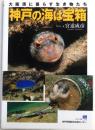 神戸の海は宝箱【大阪湾に暮らす生き物たち】
