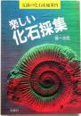 楽しい化石採集―近畿の化石産地案内