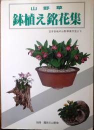 山野草　鉢植え銘花集【別冊趣味の山野草】