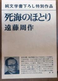 死海のほとり【純文学書下ろし特別作品】