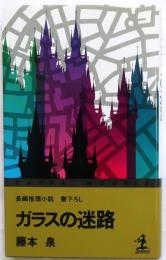 ガラスの迷路　【書下ろし長編推理小説】