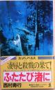 ふたたび渚に　凛辱、殺りくの果て【長編アクション小説】