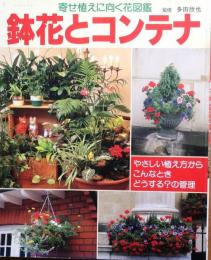 鉢花とコンテナ【寄せ植えに向く花図鑑】