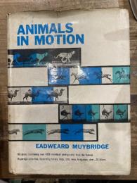 ANIMALS IN MOTION