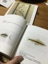 #オサカナヲエカキ　イマヨシハヂメ作品集