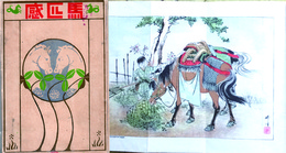 馬匹感
