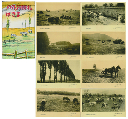 【繪葉書】札幌郊外のまきば　８枚