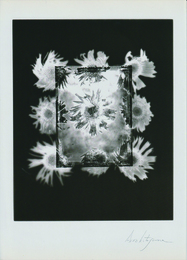 【21世紀版画付録　オリジナル・マルティプル・フォト】「無題（クロス）」