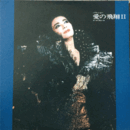 【ＬＰ】愛の飛翔II　ブーケ・ダムール