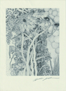 【21世紀版画付録　オリジナルオフセット版画】「美想現」