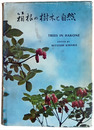箱根の樹木と自然