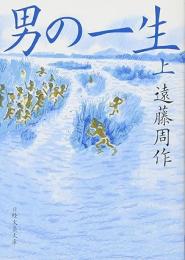 男の一生　上下2冊揃い