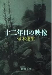 十二年目の映像