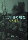 十二年目の映像