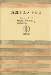 反乱するメキシコ