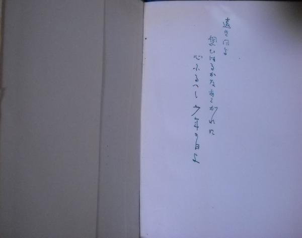 芥川龍之介全集 全20冊揃い 芥川龍之介案内含む/新書版 / 古本、中古本