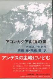 アコンカグア山頂の嵐