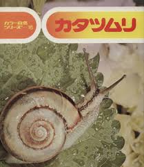 カタツムリ