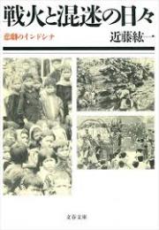 戦火と混迷の日々 : 悲劇のインドシナ