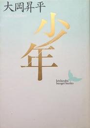 少年